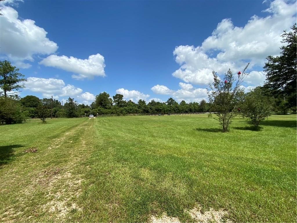 19362 Lanier Creek Road Loranger, LA 70446 - Photo 8 of 10