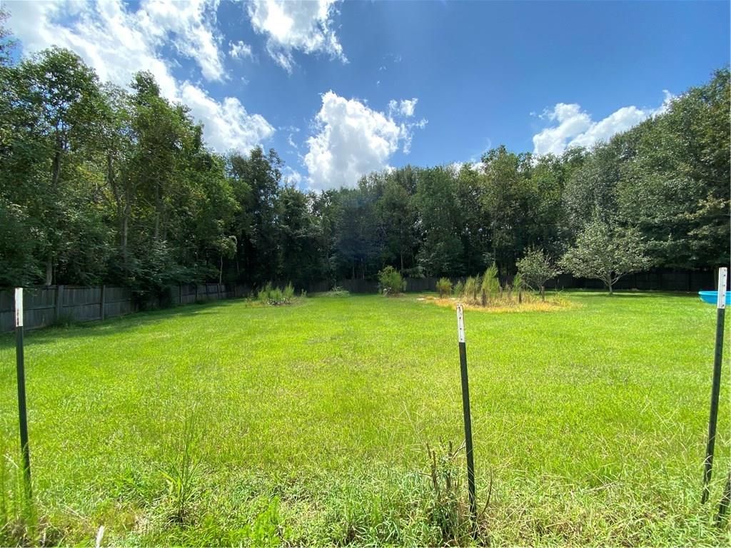 19362 Lanier Creek Road Loranger, LA 70446 - Photo 10 of 10