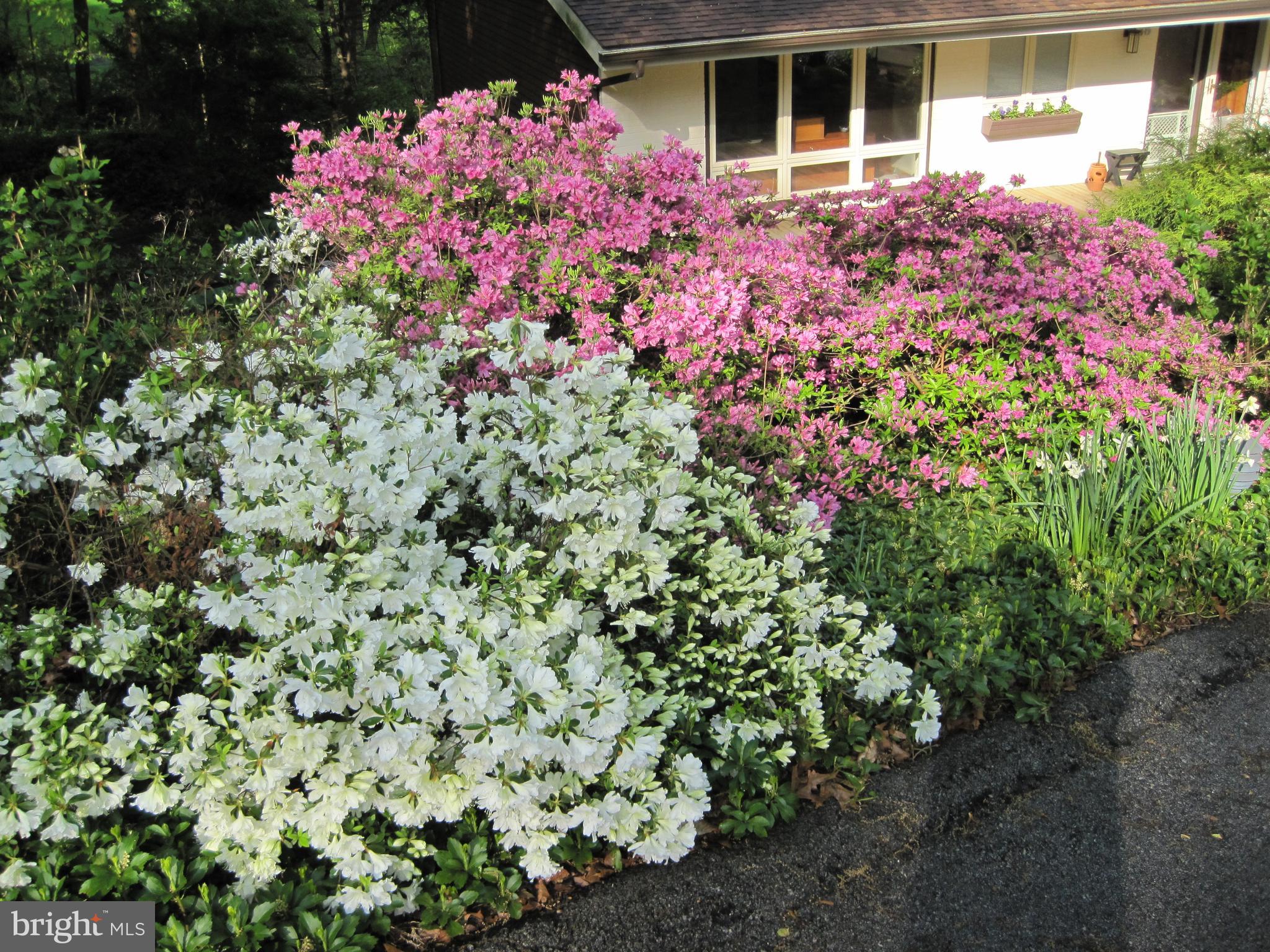 610 Arlyn Circle Wayne, PA 19087 - Photo 36 of 39