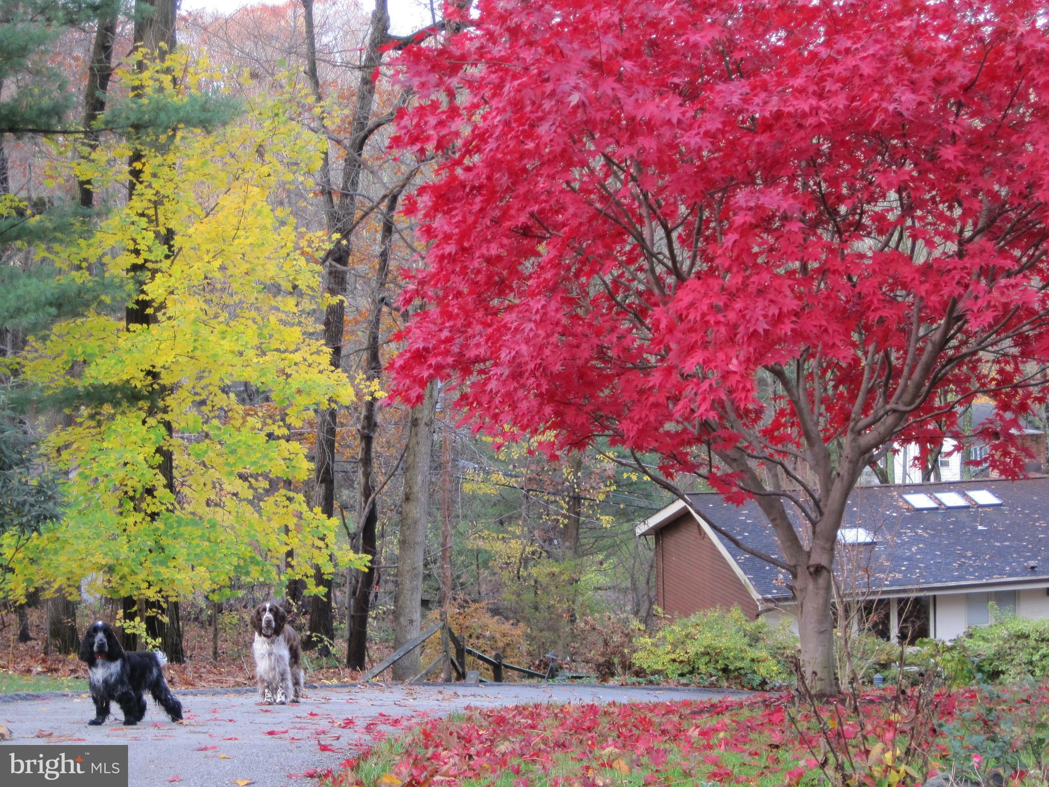 610 Arlyn Circle Wayne, PA 19087 - Photo 37 of 39