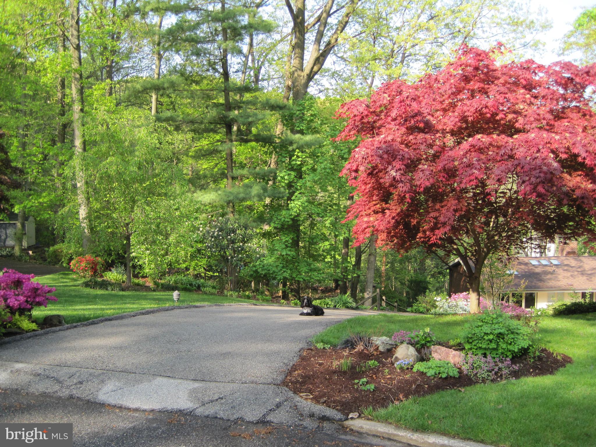 610 Arlyn Circle Wayne, PA 19087 - Photo 39 of 39