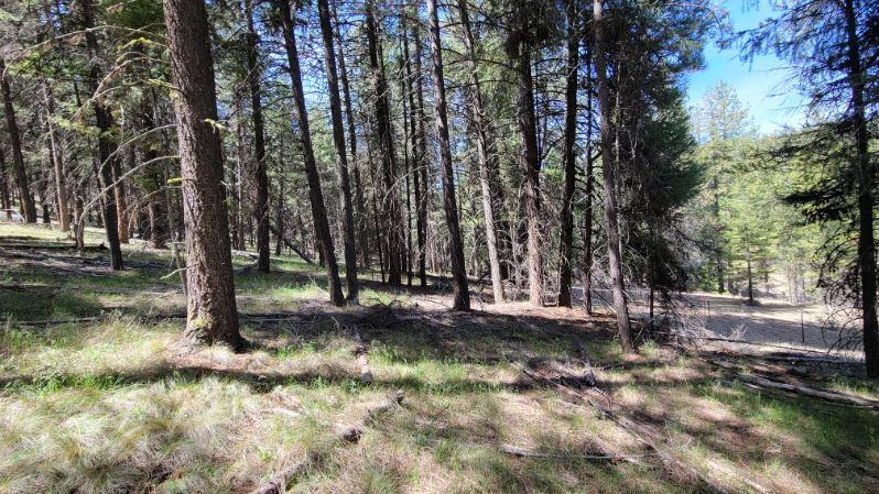 1315 Lofton Creek Road Prineville, OR 97754 - Photo 33 of 61 image000001 (8)