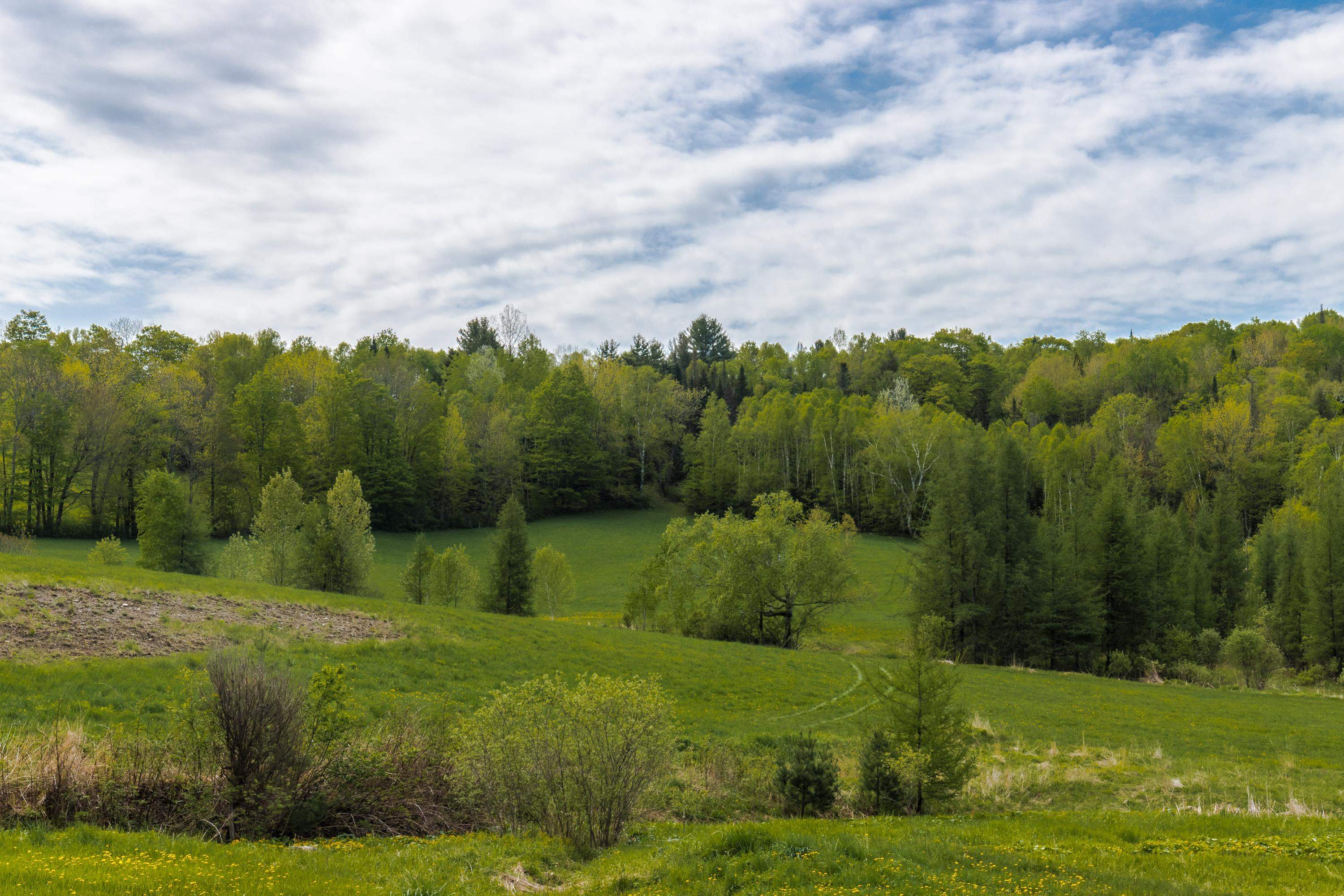 3 Bobbinshop Road, Unit 3 Chelsea, VT 05038 - Photo 2 of 5