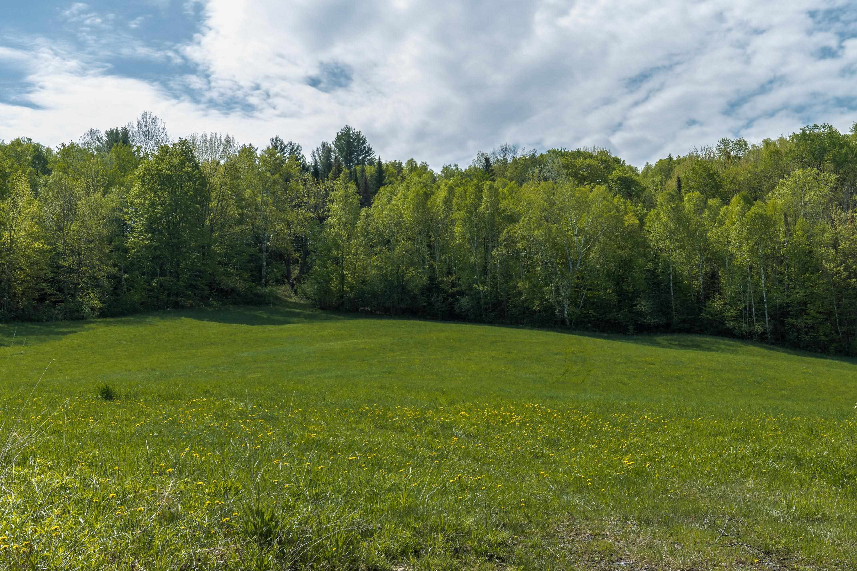 3 Bobbinshop Road, Unit 3 Chelsea, VT 05038 - Photo 3 of 5
