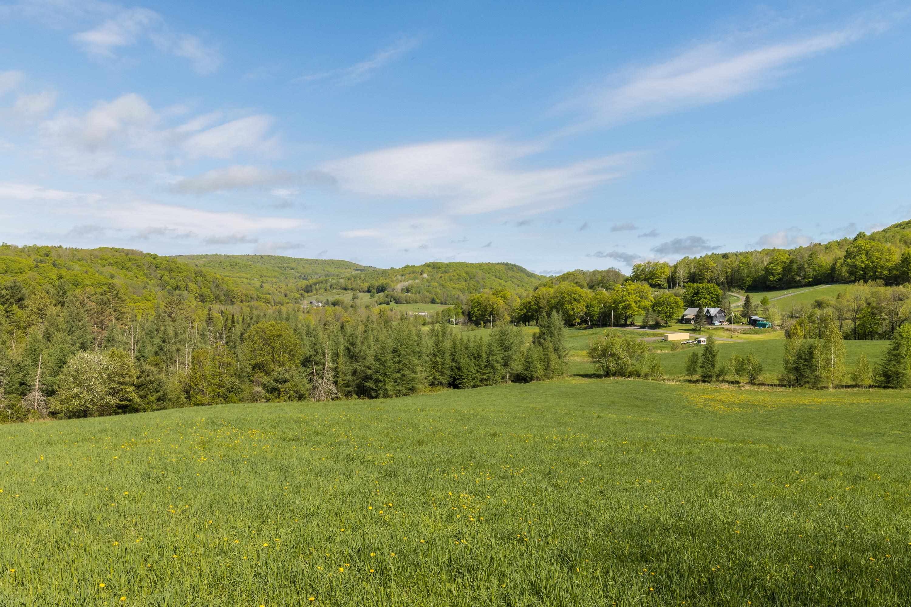 3 Bobbinshop Road, Unit 3 Chelsea, VT 05038 - Photo 4 of 5