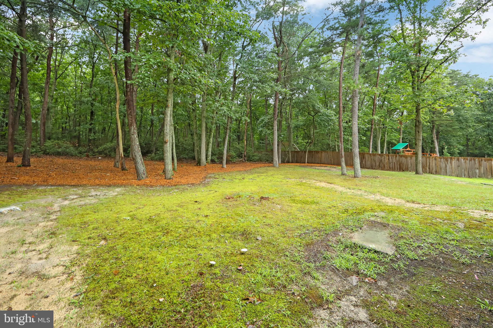 1366 Stokes Road Medford, NJ 08055 - Photo 11 of 46 Yard