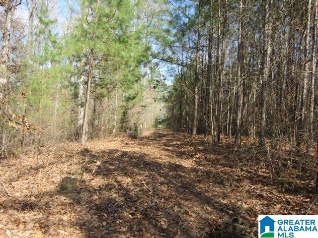 229 County Road, Unit 29 Thorsby, AL 35171 - Photo 8 of 23
