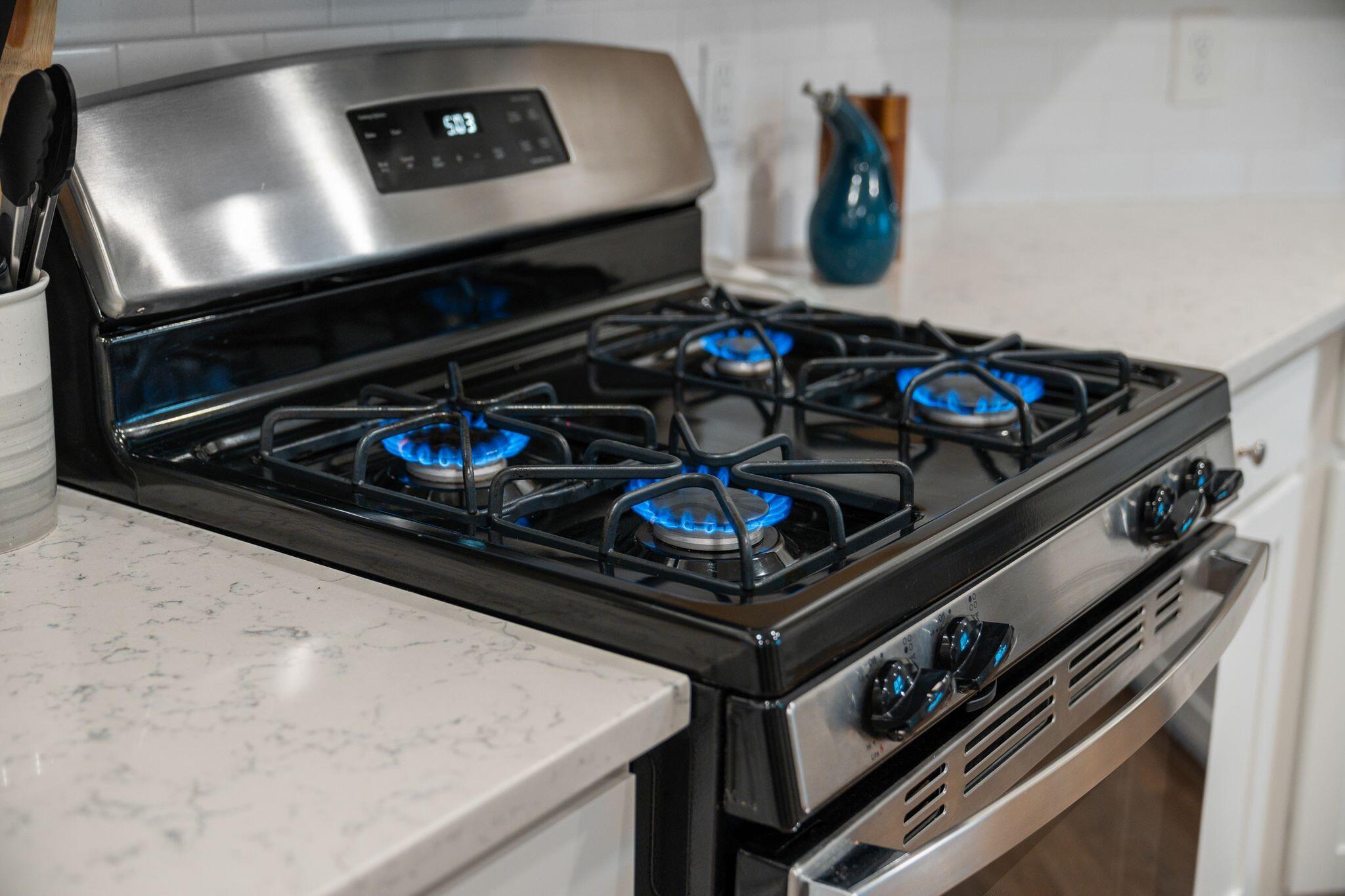 701 Squire Pope Road Summerville, SC 29486 - Photo 14 of 69 GAS STOVE