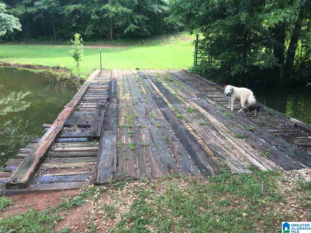9276 County Road 2 Waverly, AL 36879 - Photo 13 of 38