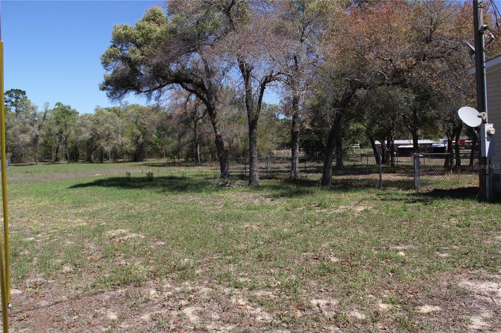 13201 Crowell Road Brooksville, FL 34613 - Photo 23 of 35 a view of backyard with green space