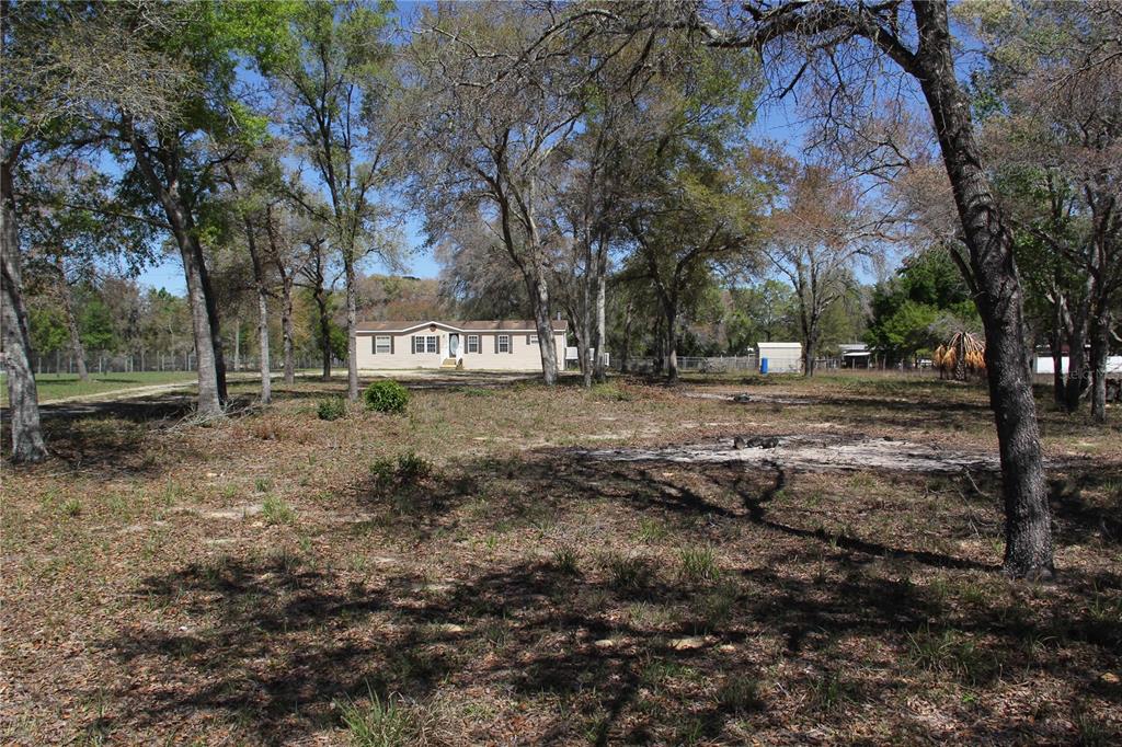 13201 Crowell Road Brooksville, FL 34613 - Photo 24 of 35 a view of dirt yard with a large tree