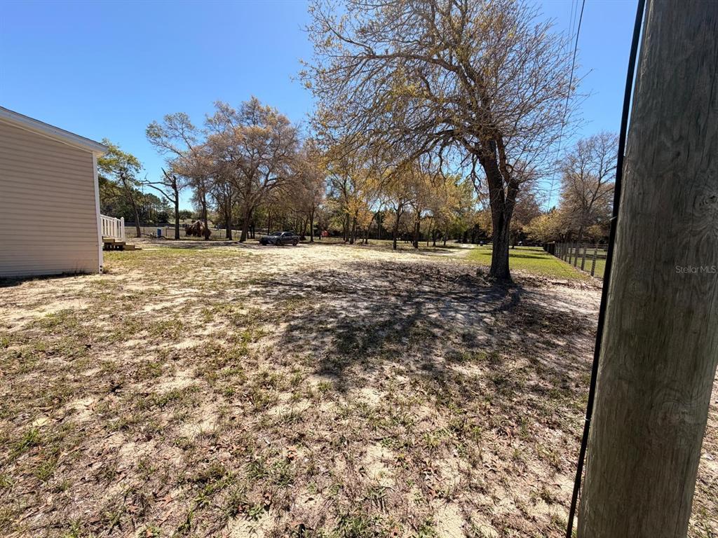 13201 Crowell Road Brooksville, FL 34613 - Photo 31 of 35 a view of a yard with trees