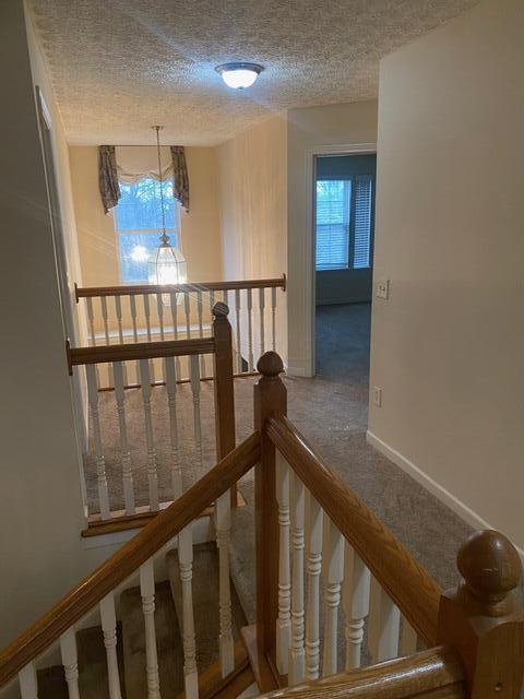 7820 Rodebaugh Road Reynoldsburg, OH 43068 - Photo 39 of 39 IMG_7655