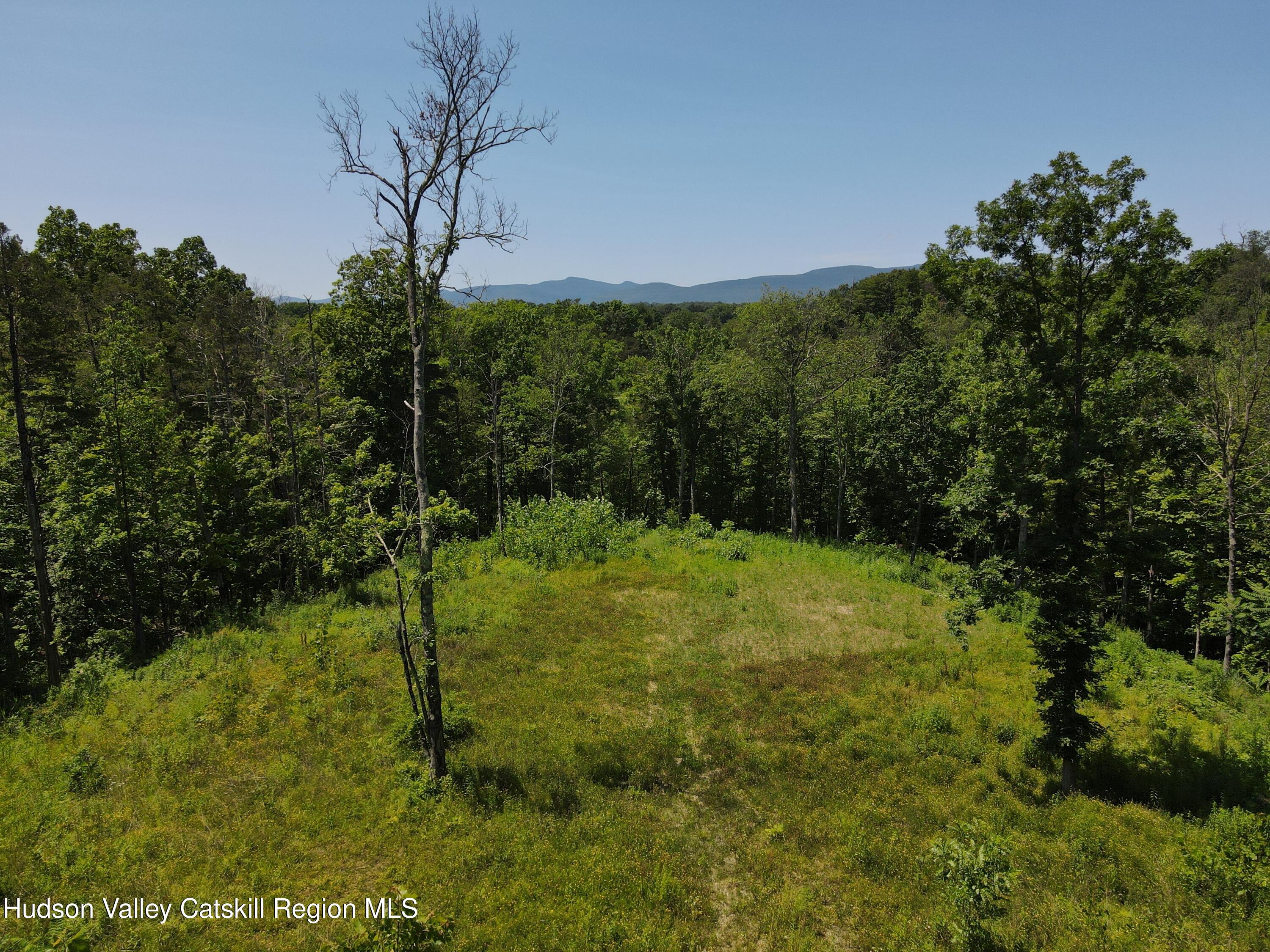71 Vosenkill Road Catskill, NY 12414 - Photo 7 of 7 dji_fly_20250704_123504_378_175172892569
