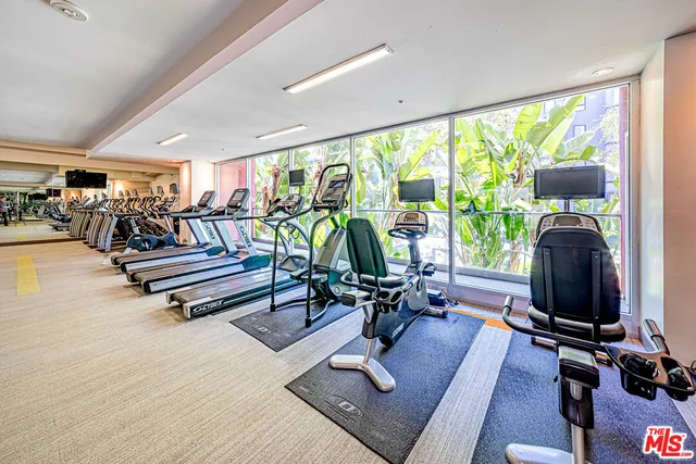 a view of a room with gym equipment and floor to ceiling window