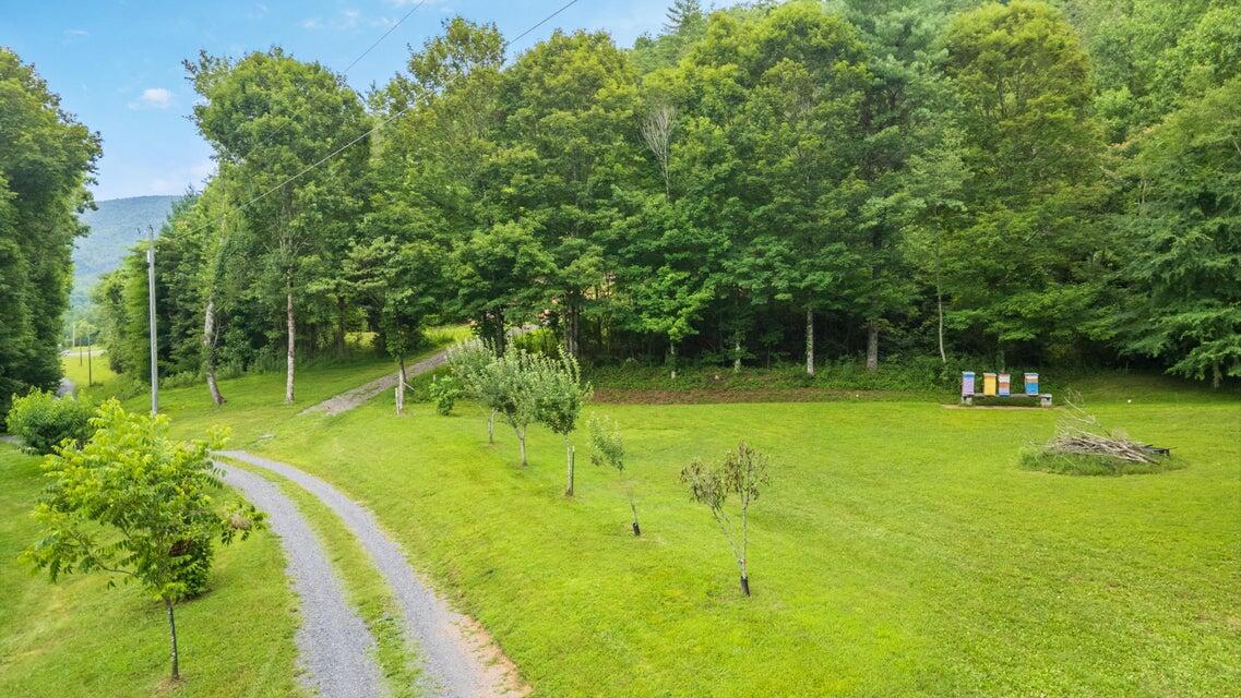 118 Price Road Reliance, TN 37369 - Photo 2 of 33 20250714235848893150000000-o