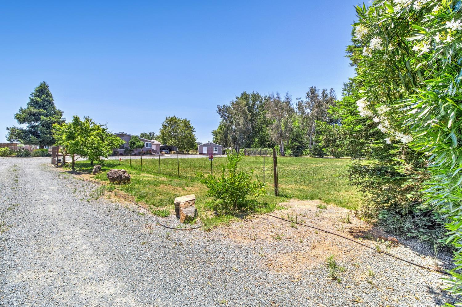 12390 Hobday Road Wilton, CA 95693 - Photo 77 of 92 a view of a park with large trees