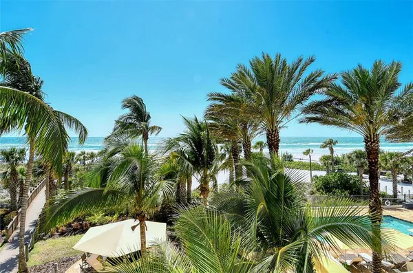 a view of a palm trees in a backyard