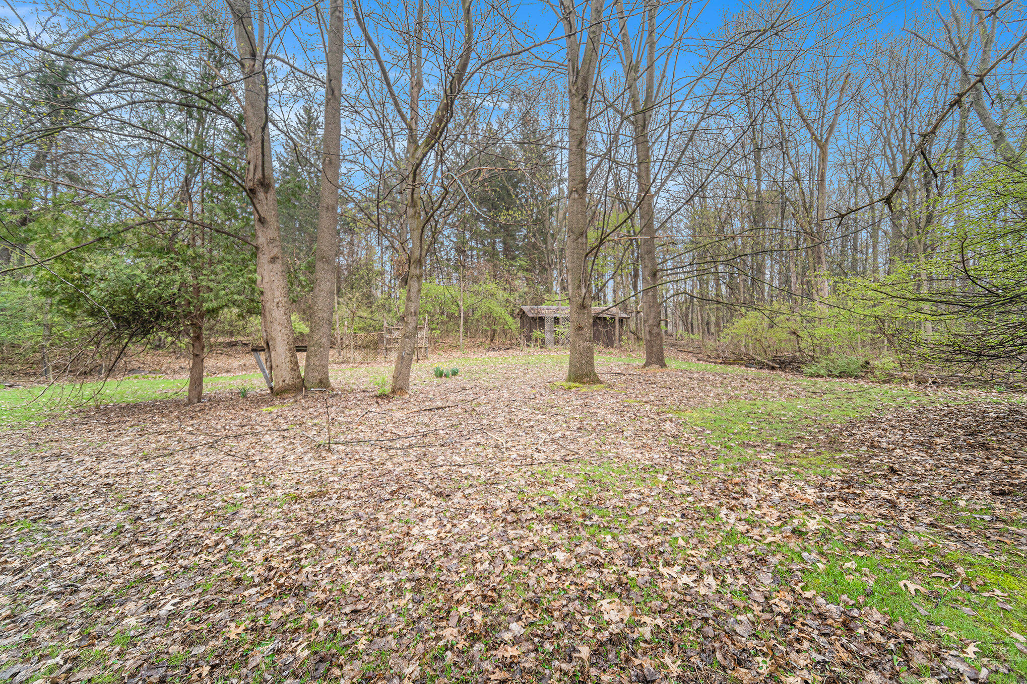 811 Blackman Road Jackson, MI 49201 - Photo 26 of 28 27