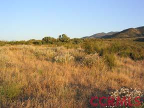 8379 Foothill Road New Cuyama, CA 93254 - Photo 1 of 4 Primary Photo