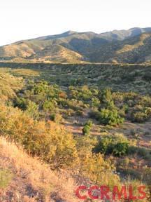 8379 Foothill Road New Cuyama, CA 93254 - Photo 2 of 4 Additional Photo