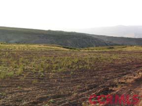 8379 Foothill Road New Cuyama, CA 93254 - Photo 4 of 4 Additional Photo