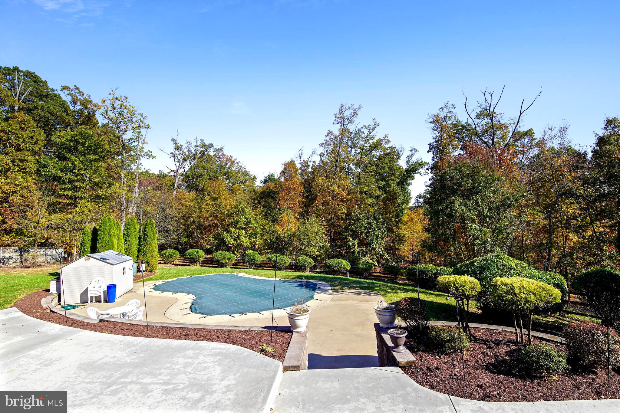 5321 Hines Road Frederick, MD 21704 - Photo 6 of 45 In - ground pool