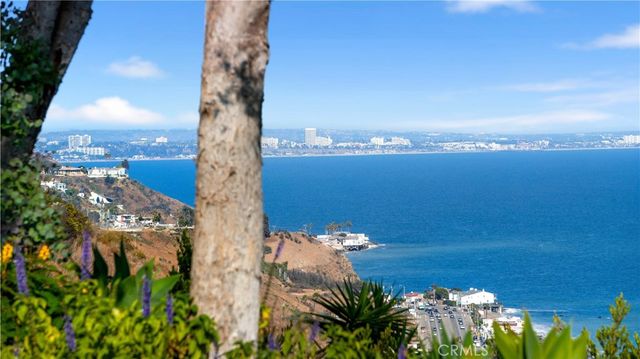 an ocean view with palm trees