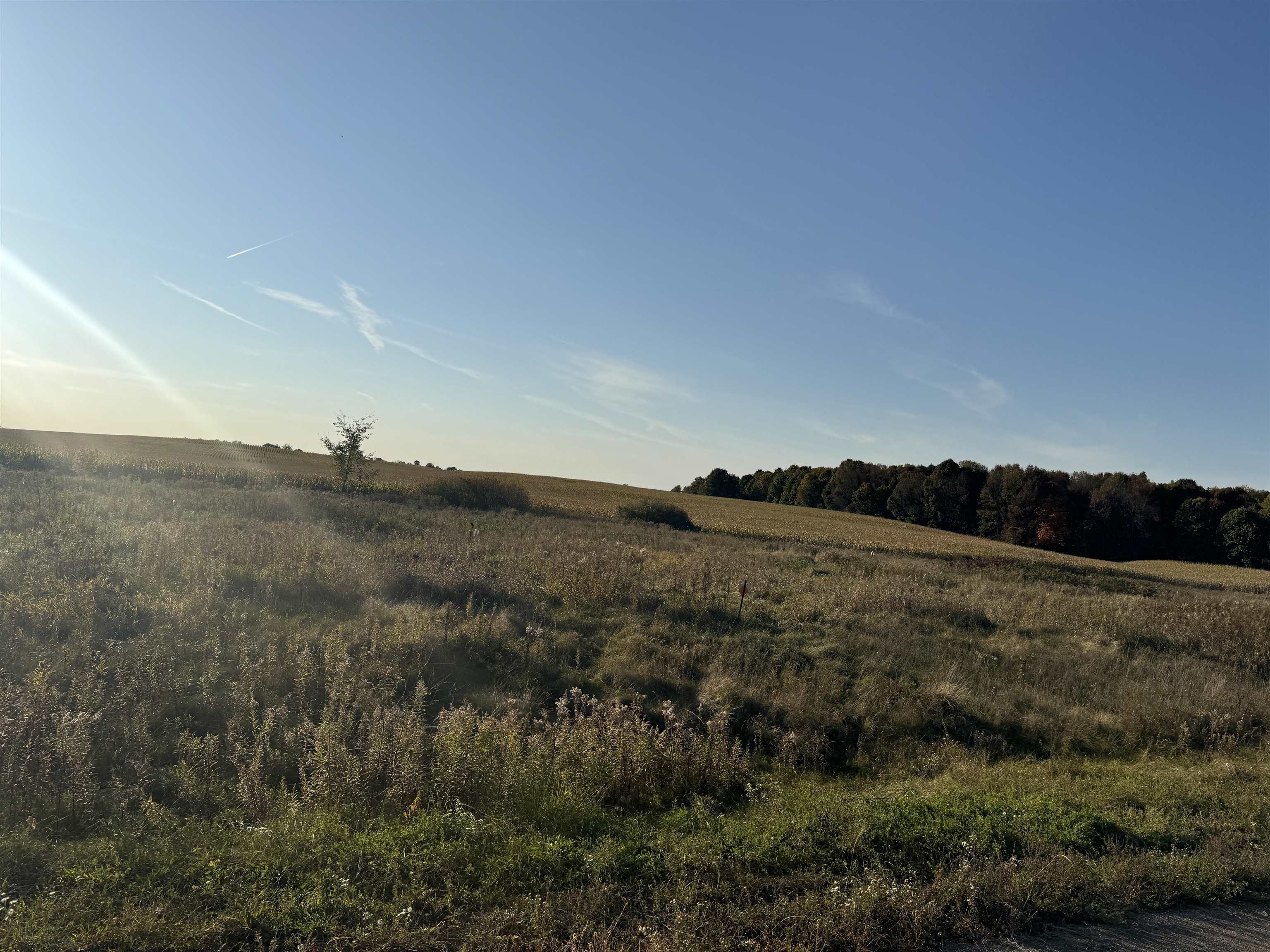 Grant Street, Unit 8 Marion, WI 54950 - Photo 7 of 13