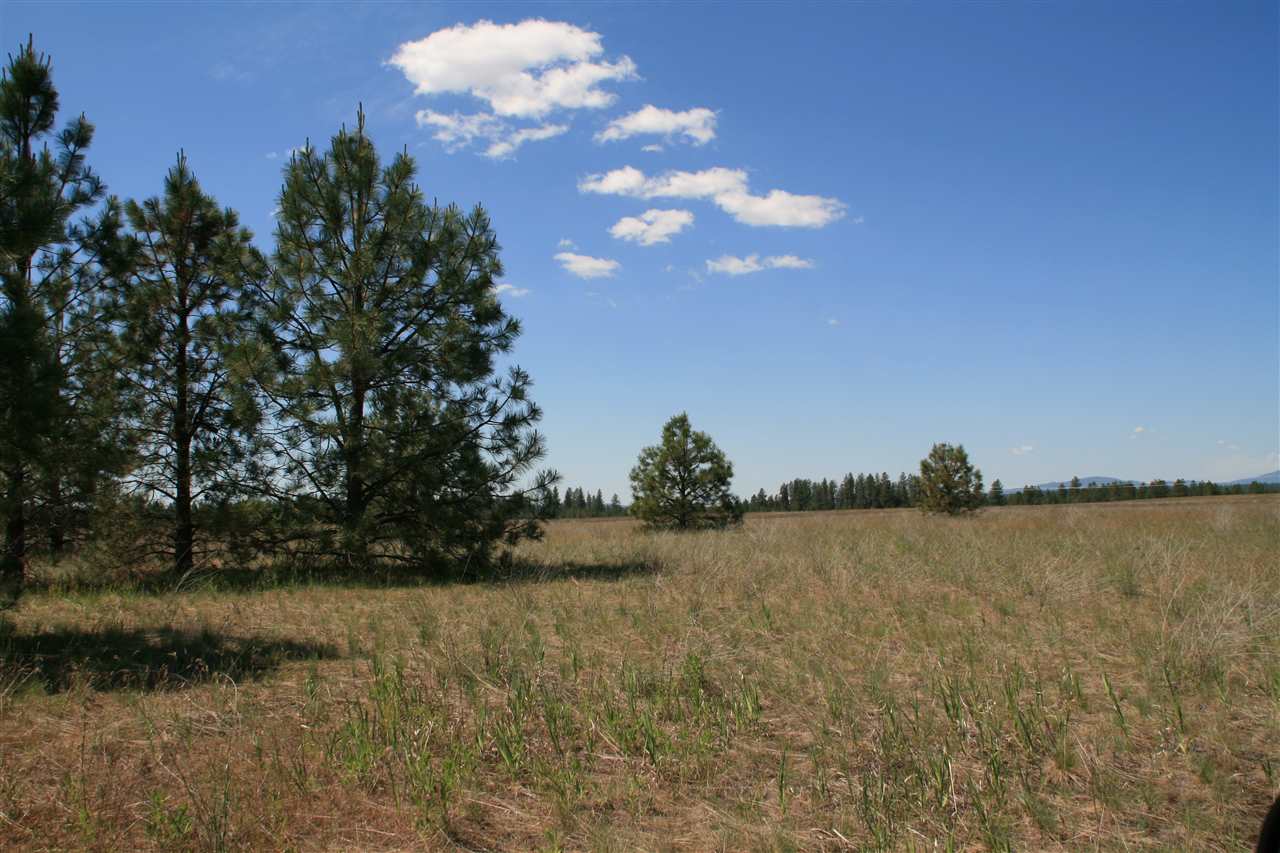 Lot 5 North Bruce Road Chattaroy, WA 99003 - Photo 1 of 6 Gallery Image 1