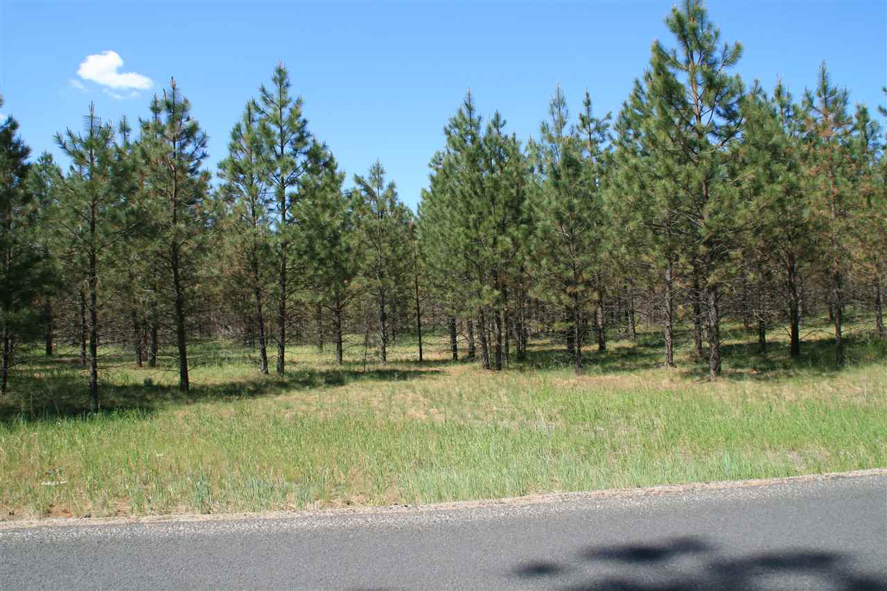 Lot 5 North Bruce Road Chattaroy, WA 99003 - Photo 3 of 6 Gallery Image 3