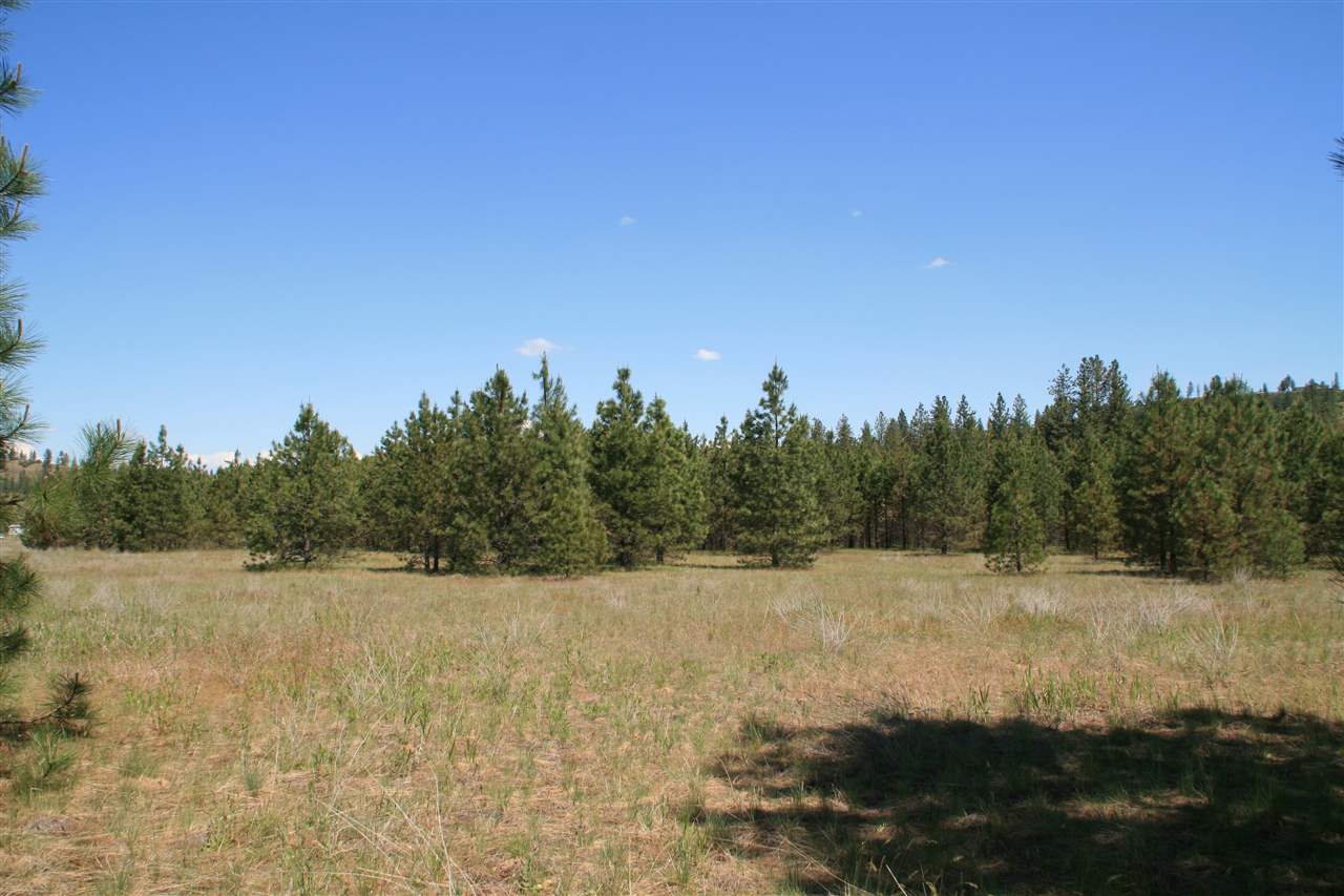 Lot 5 North Bruce Road Chattaroy, WA 99003 - Photo 4 of 6 Gallery Image 4