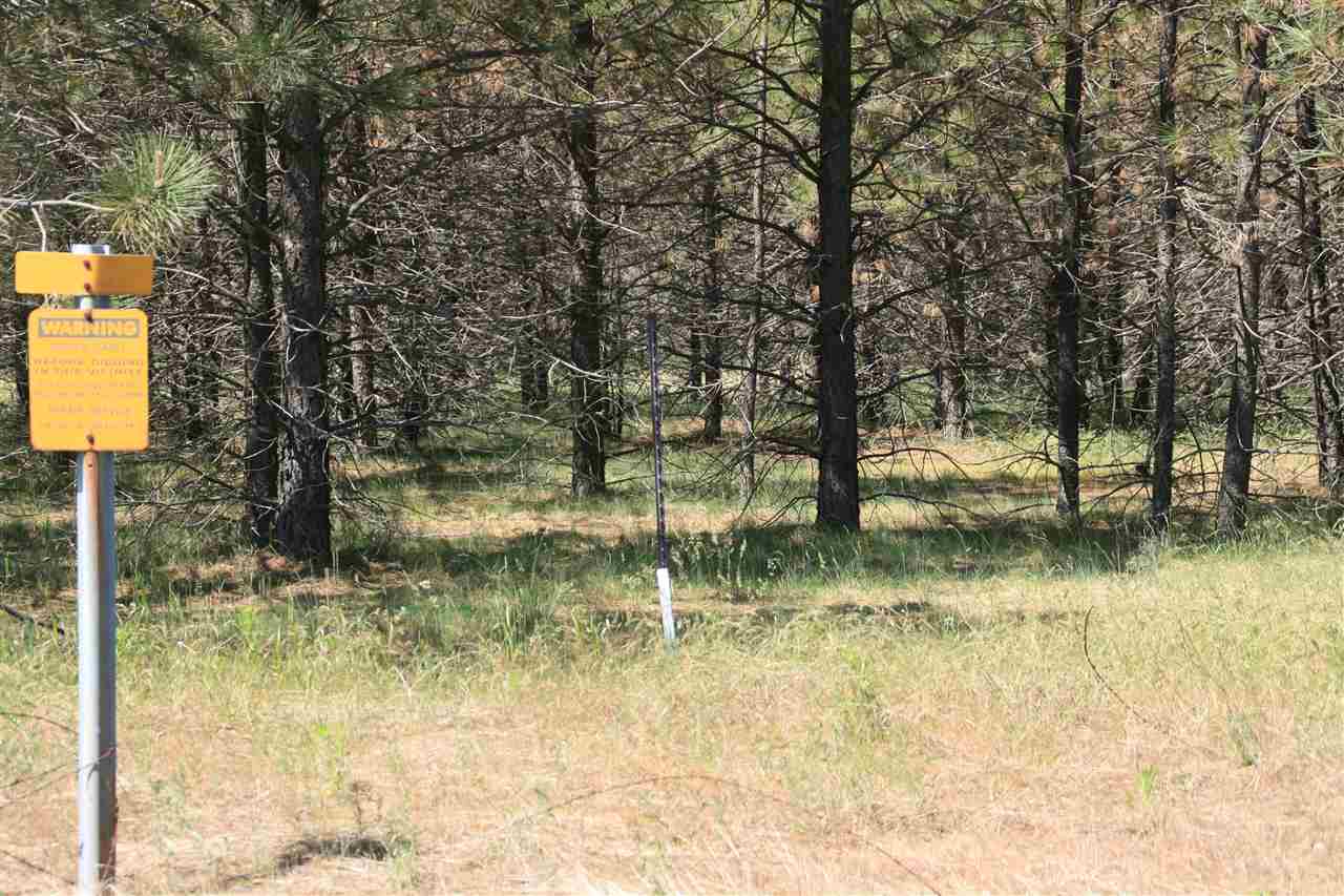 Lot 5 North Bruce Road Chattaroy, WA 99003 - Photo 6 of 6 Gallery Image 6