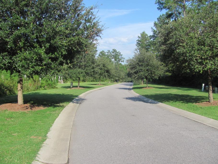 56 Willington Drive Ridgeville, SC 29472 - Photo 3 of 6 Winterseat - lot 56