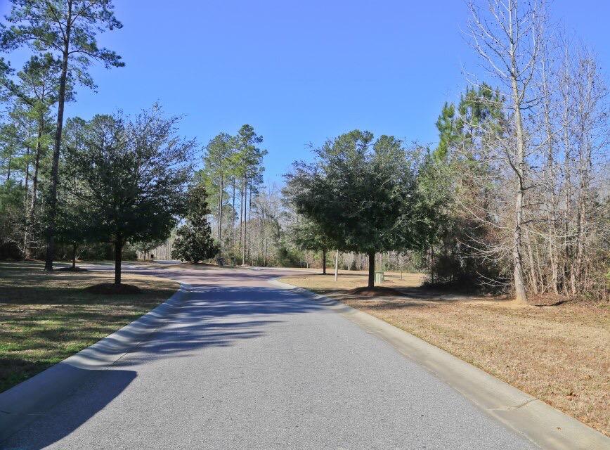 56 Willington Drive Ridgeville, SC 29472 - Photo 5 of 6 Winterseat - lot 56