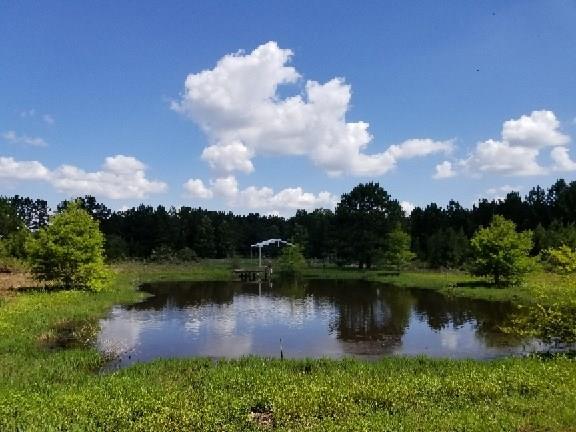 0 Ruby Centerpoint Road Pineville, LA 71360 - Photo 1 of 2 Gallery Image 1