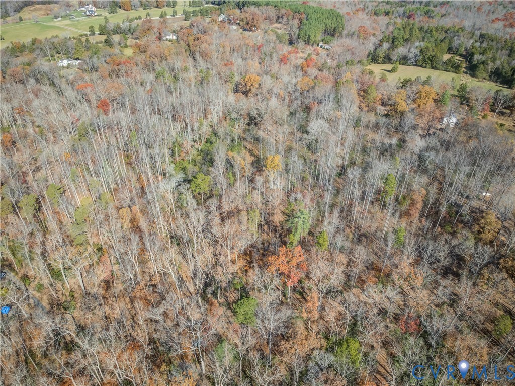 0 Porters Road Esmont, VA 22937 - Photo 12 of 27 a view of a dry yard