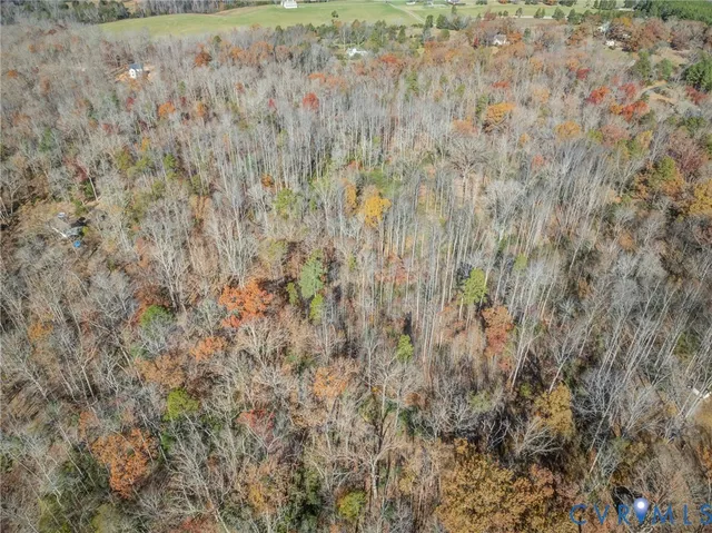 a close up of a plant in a field