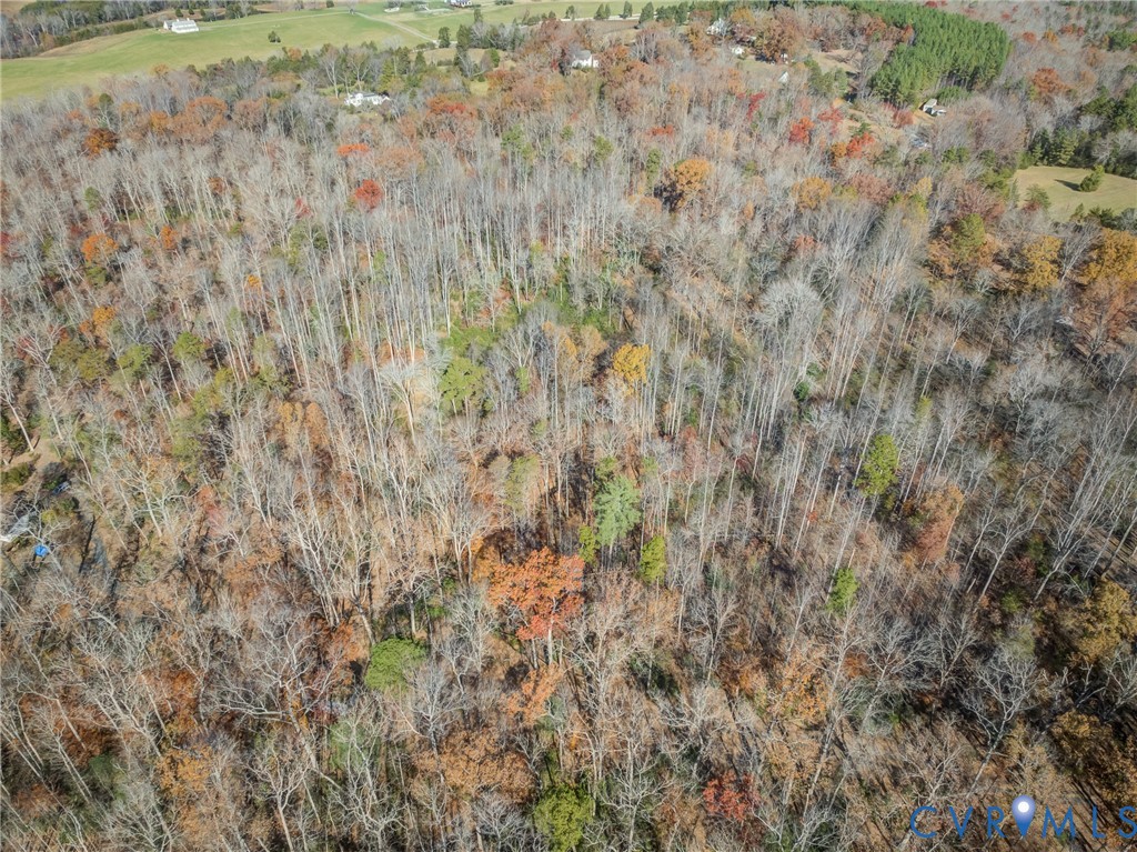 0 Porters Road Esmont, VA 22937 - Photo 14 of 27 a close up of a plant in a field