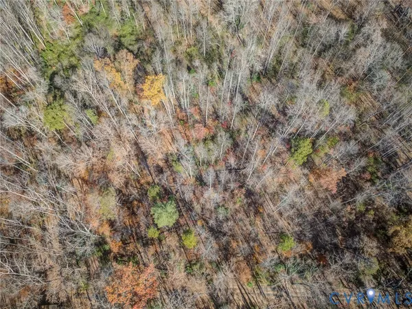 a view of a tree