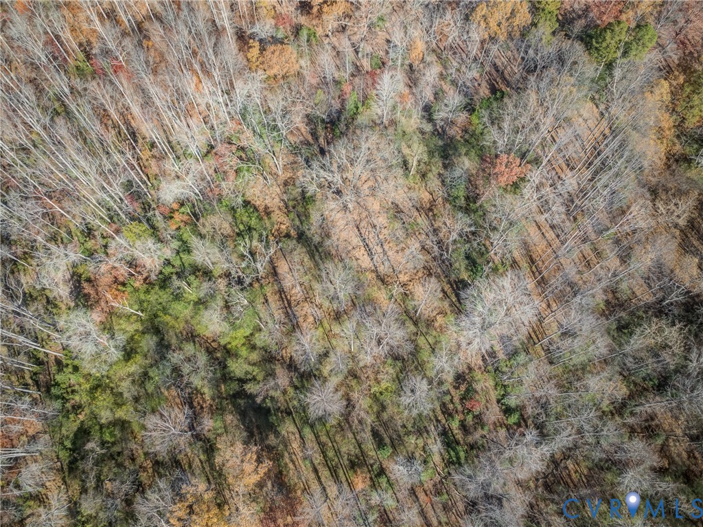 0 Porters Road Esmont, VA 22937 - Photo 16 of 27 a view of a covered with green field