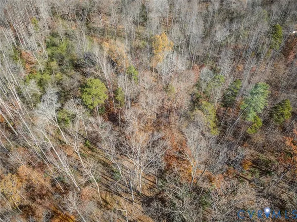 a close up of a field
