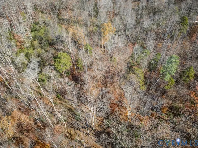 a close up of a field