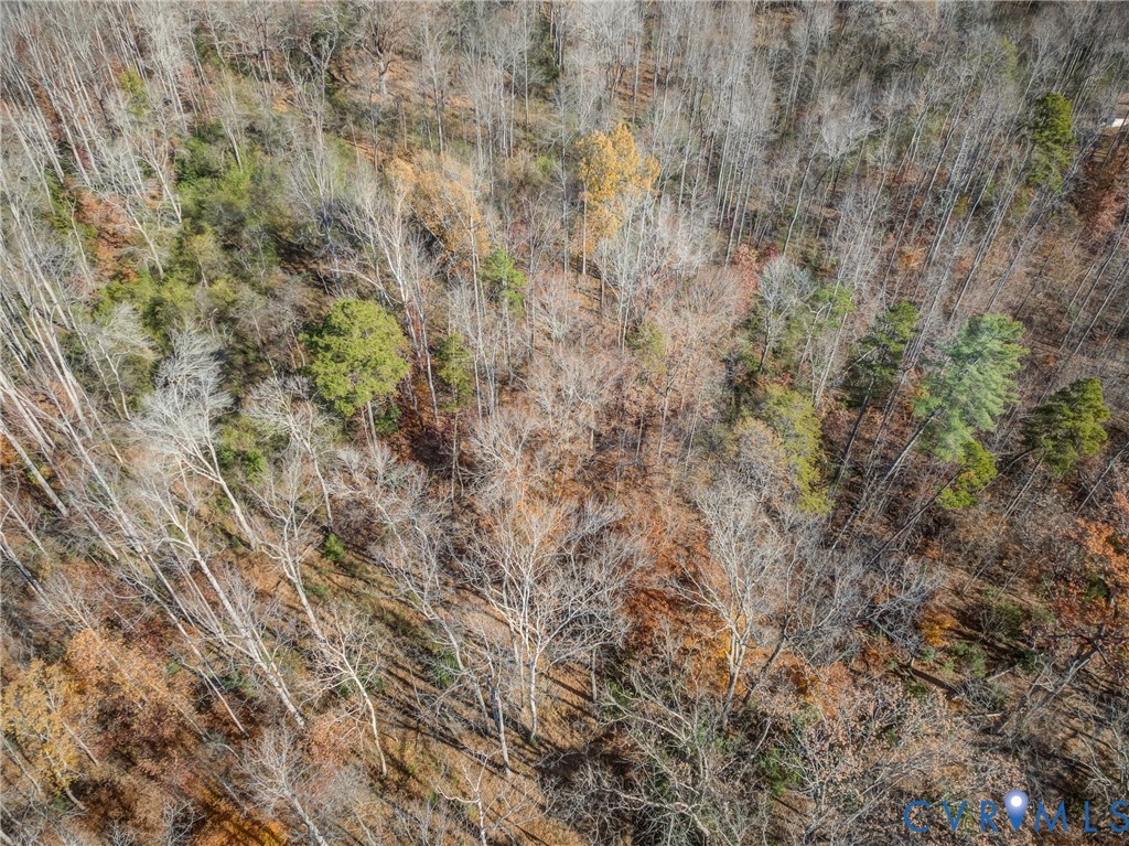 0 Porters Road Esmont, VA 22937 - Photo 21 of 27 a close up of a field