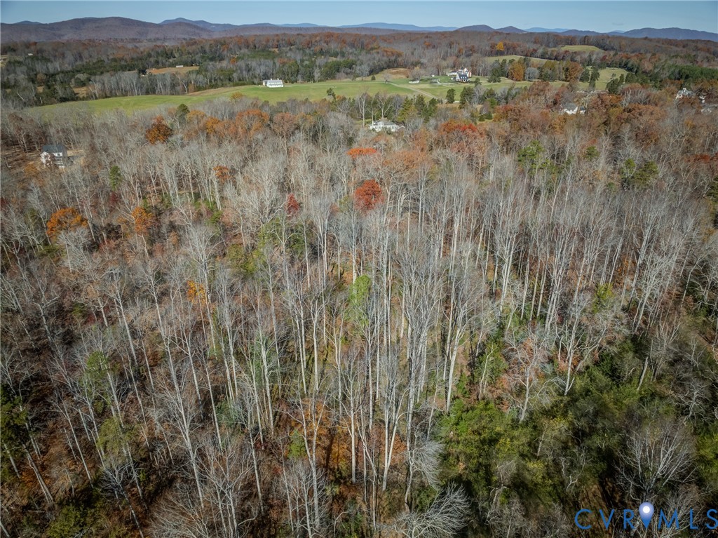 0 Porters Road Esmont, VA 22937 - Photo 22 of 27 a view of a lush green forest with lush green forest