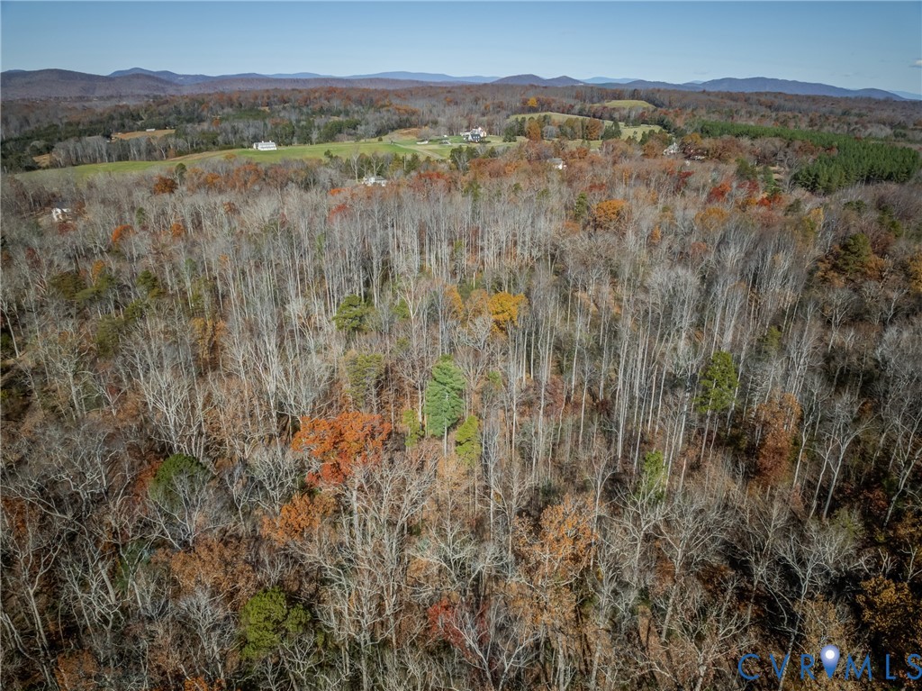 0 Porters Road Esmont, VA 22937 - Photo 23 of 27 a view of lake with mountain