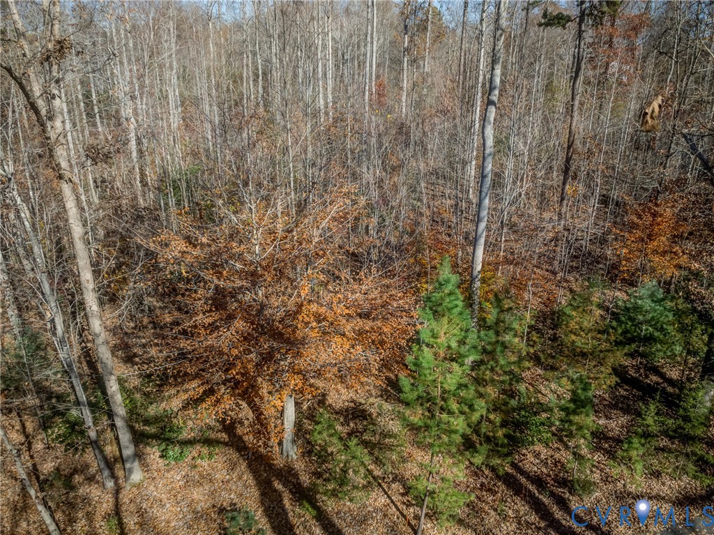 0 Porters Road Esmont, VA 22937 - Photo 24 of 27 a view of a yard with a plants and large trees