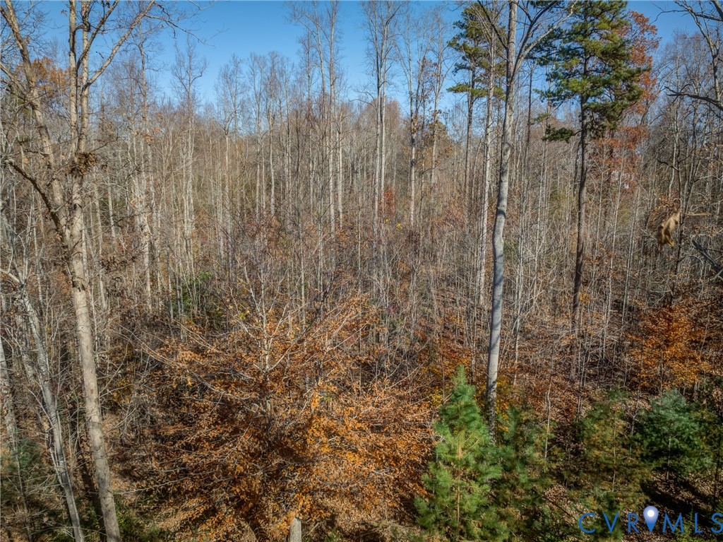 0 Porters Road Esmont, VA 22937 - Photo 25 of 27 a view of small yard