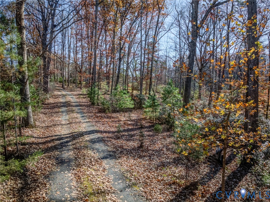 0 Porters Road Esmont, VA 22937 - Photo 26 of 27 a view of a yard with plants and trees