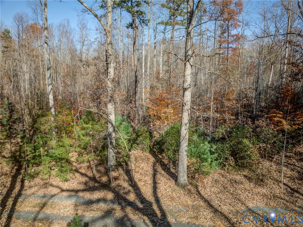 0 Porters Road Esmont, VA 22937 - Photo 27 of 27 a view of a pathway of a yard